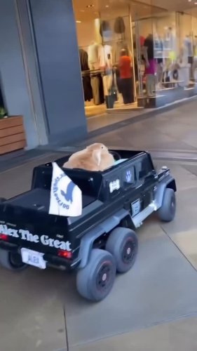 Video post from njexoticpets.