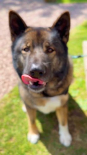 Video post from toast_flyford.