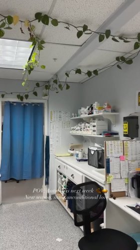 Video post from familyanimalhospitalcm.