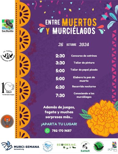 Photo post from murcisemana_oficial.