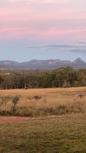 Video post from in2thewild.aus.