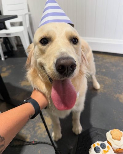 Carousel post from k9playtimedoggydaycare.