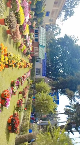 Video post from jhumpa1076.