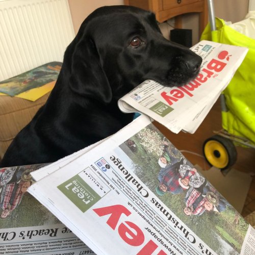 Photo post from bramleynewspaper.