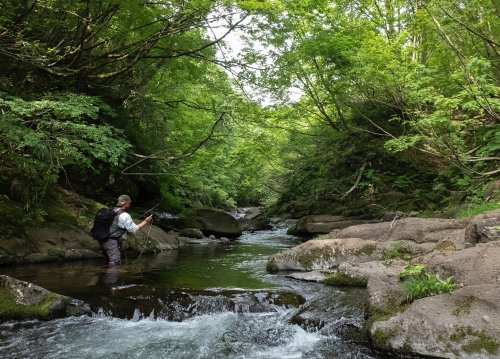 Home | Organize Back Country