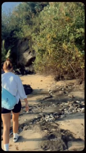 Video post from octopusresort.