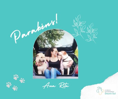 Photo post from clinica_veterinaria_dourosul.