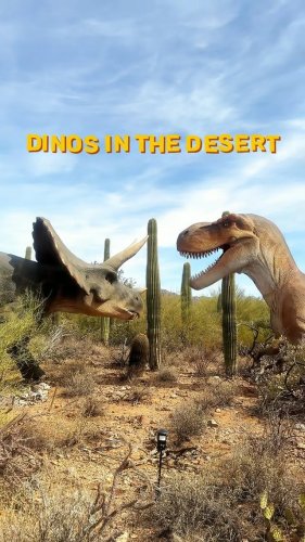 Video post from visittucson.