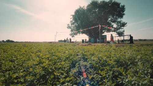 Video post from pakfightspolio.