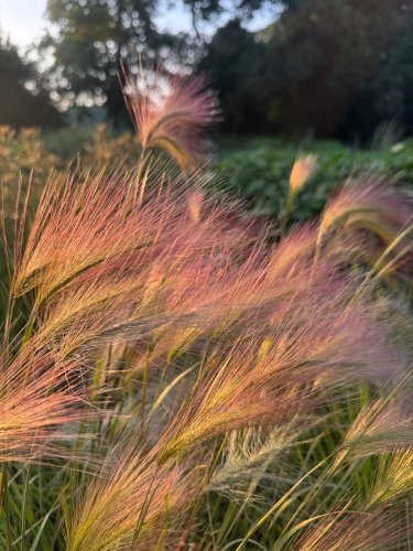 Photo post from sussexprairies.
