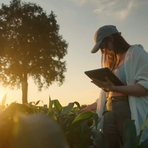 Video post from proximeo.