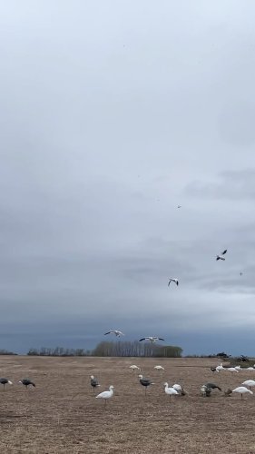 Video post from northernskiesoutfitters.