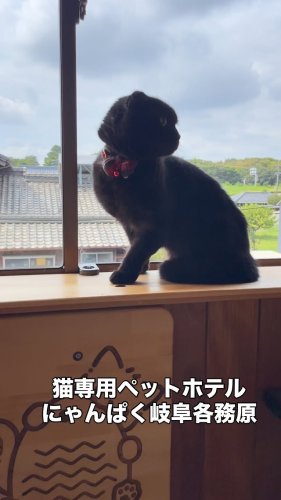 Video post.
