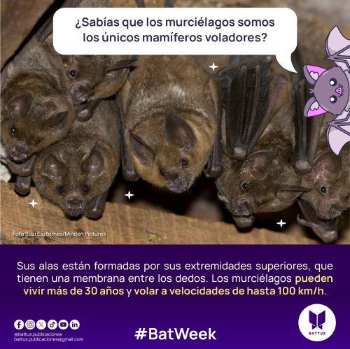 Photo post from battus.publicaciones.