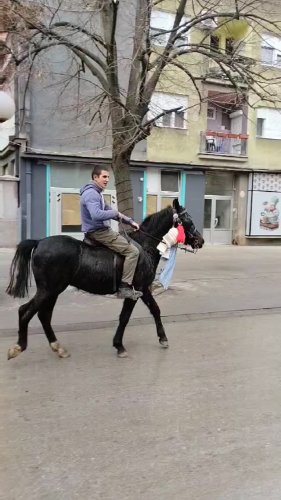 Video post from sremskatelevizija.