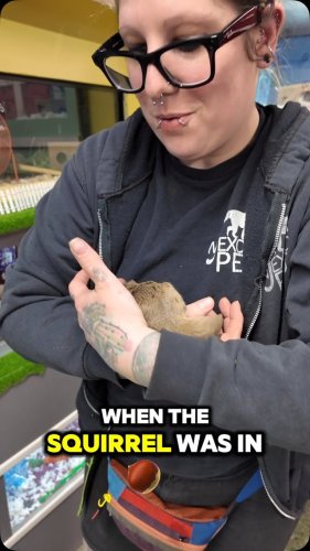 Video post from njexoticpets.