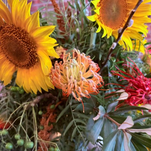 Carousel post from hotelonnorth.