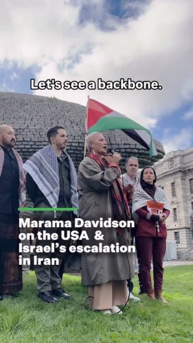 Video post from nzgreenparty.