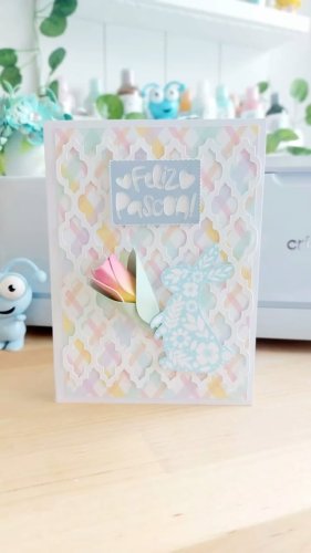 Video post from aabelhita.