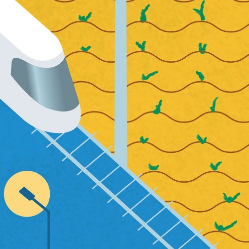 Photo post from unops_official.