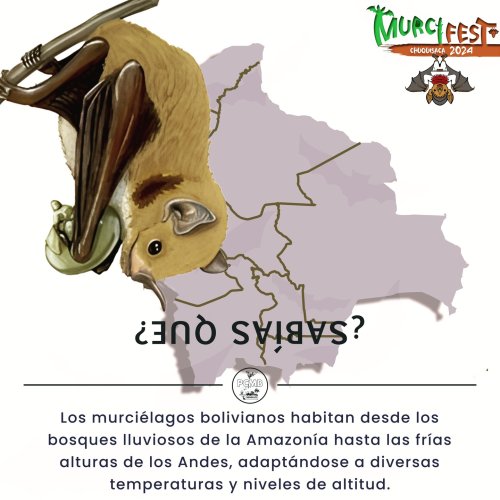 Photo post from pcmb_chuquisaca.
