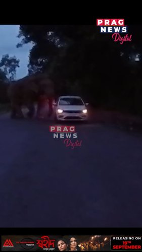 Video post from pragnewsofficial.