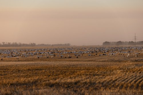 Photo post from northernskiesoutfitters.