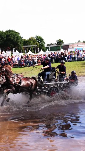 Video post from fei_global.