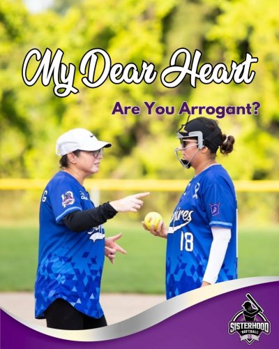 Carousel post from sisterhoodsoftball.
