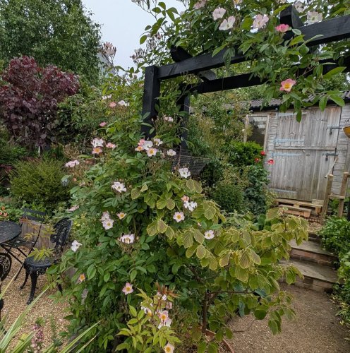 Photo post from gardenhousebrighton.