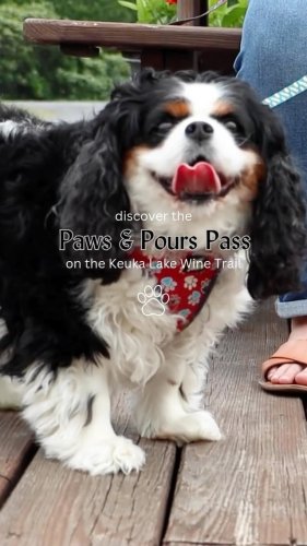 Video post from keukalakewinetrail.