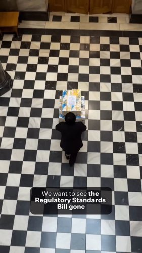Video post from nzgreenparty.