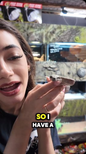 Video post from njexoticpets.