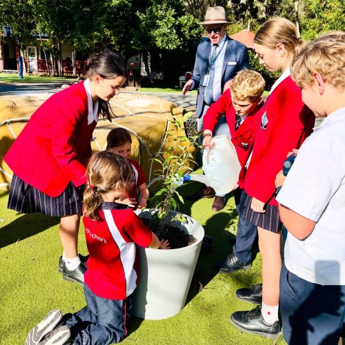 Carousel post from standrewsanglicancollege.