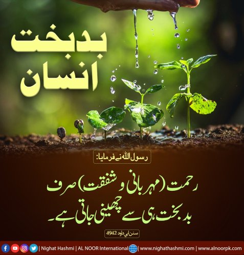 Photo post from nighathashmi.