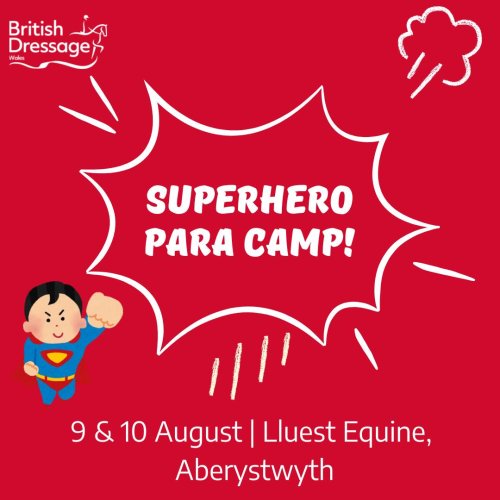 Photo post from bd_wales.