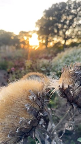 Video post from sussexprairies.