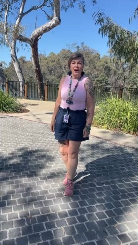 Video post from alburycity.