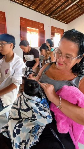 Video post from ananindeuapma.