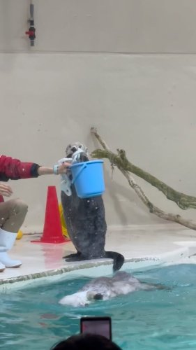 Video post from masamin01.