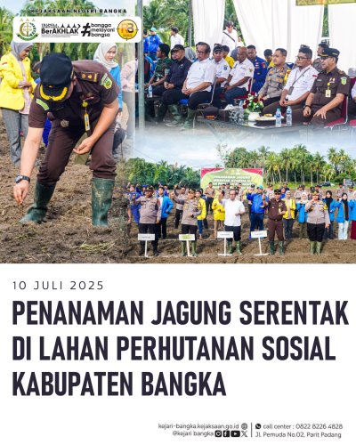 Latest photo