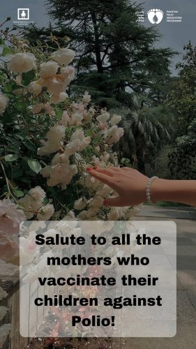 Video post from pakfightspolio.