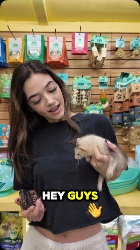 Video post from njexoticpets.