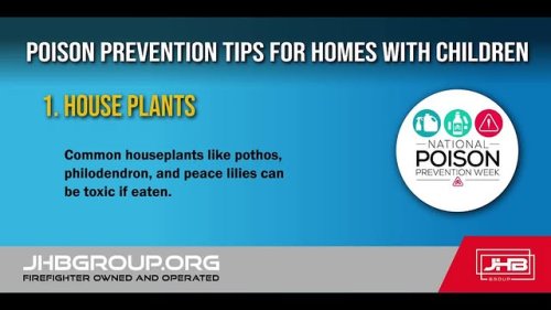 Video post from jhbgroup1.