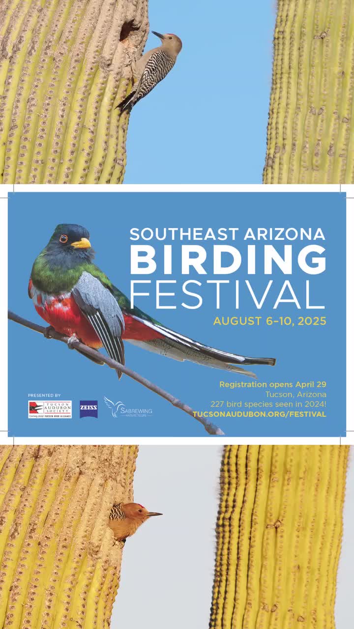 Video post from visittucson.