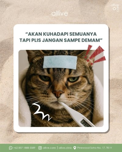 PostPhoto