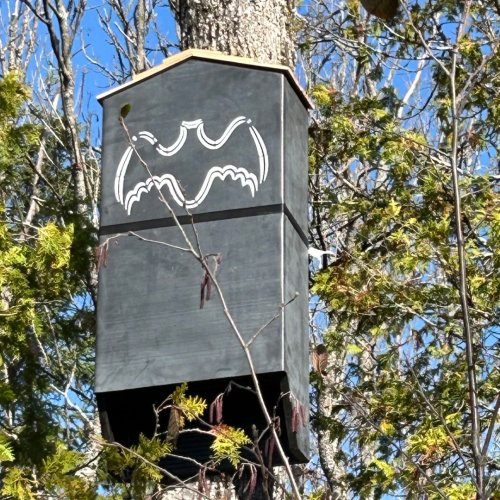 Photo post from magnetawanlandtrust.