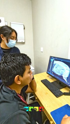 Video post from medicalpettj.