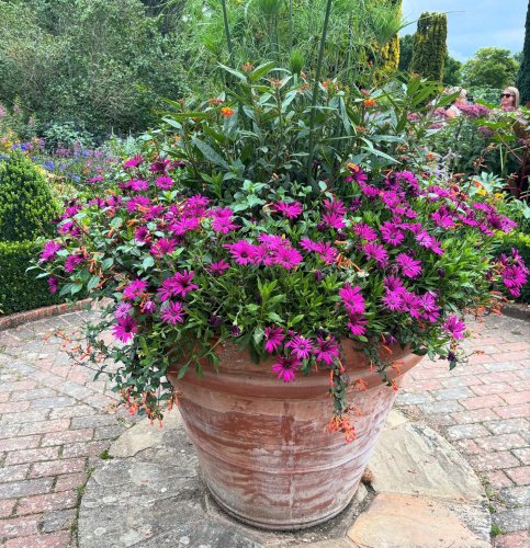 Photo post from gardenhousebrighton.