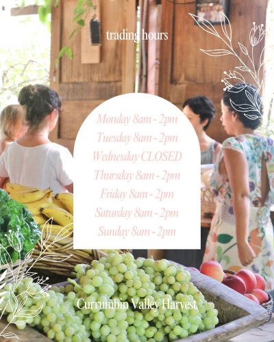 Carousel post from currumbinvalleyharvest.